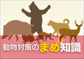 動物対策のまめ知識