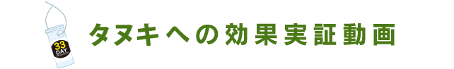 狸（タヌキ）への効果実証動画